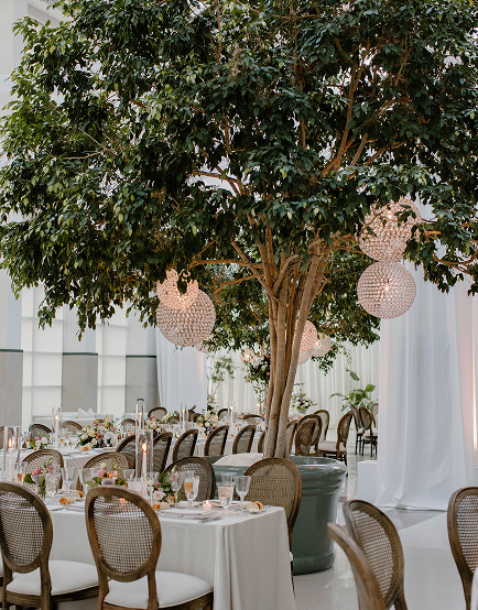 Wedding reception